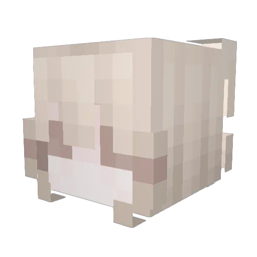 danana0 Minecraft avatar head, 3D render