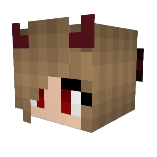 danceislife995 Minecraft avatar head, 3D render