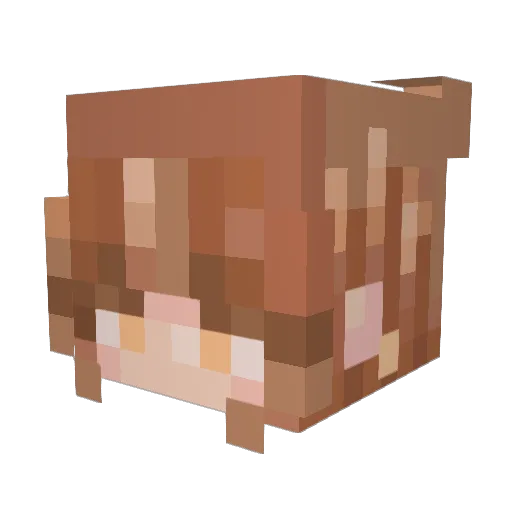 dancemonkeyyz Minecraft avatar head, 3D render
