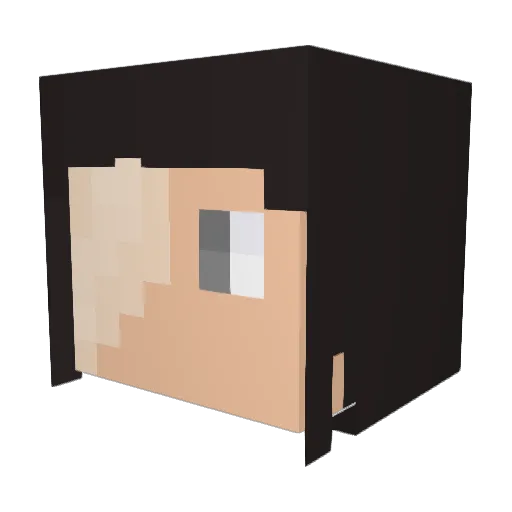 dancethemoons Minecraft avatar head, 3D render