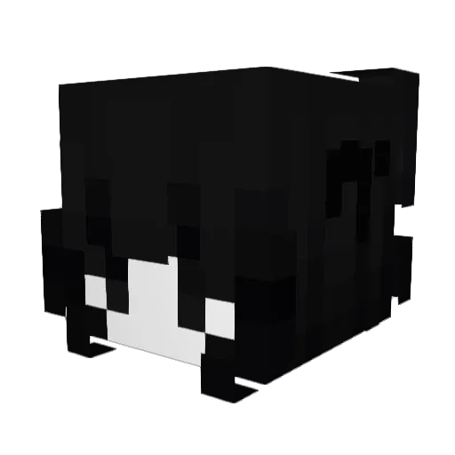 dancewithm0lly Minecraft avatar head, 3D render