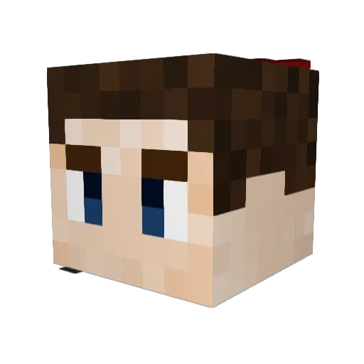 danchi69 Minecraft avatar head, 3D render