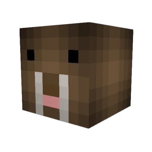 dancingdragons7 Minecraft avatar head, 3D render