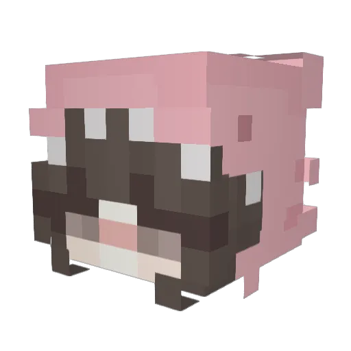 dancingfae Minecraft avatar head, 3D render