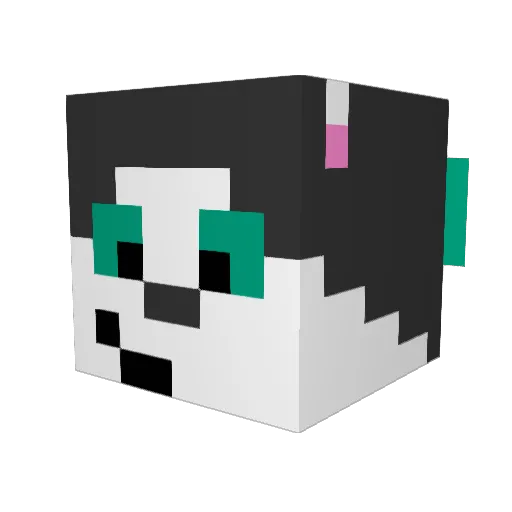 dancinghusky Minecraft avatar head, 3D render