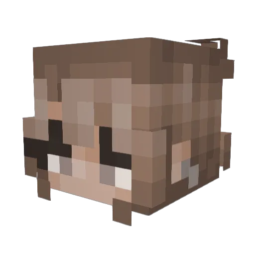 dancinglily100 Minecraft avatar head, 3D render