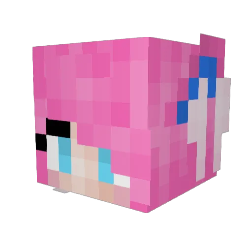 dancingpiggy308 Minecraft avatar head, 3D render