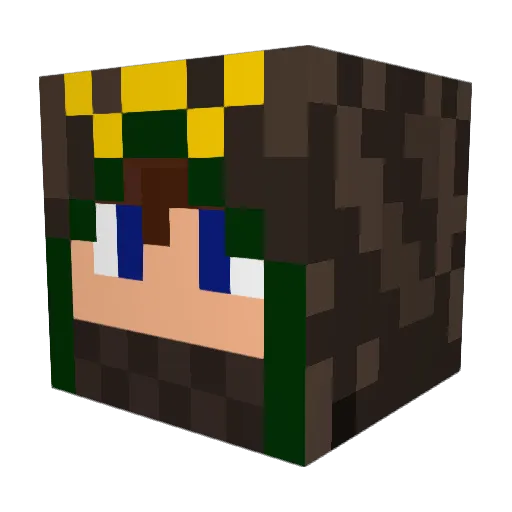 dandan555 Minecraft avatar head, 3D render
