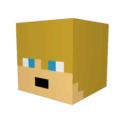 dandangamer5555 Minecraft avatar head, 3D render