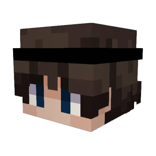 dandannyboy Minecraft avatar head, 3D render