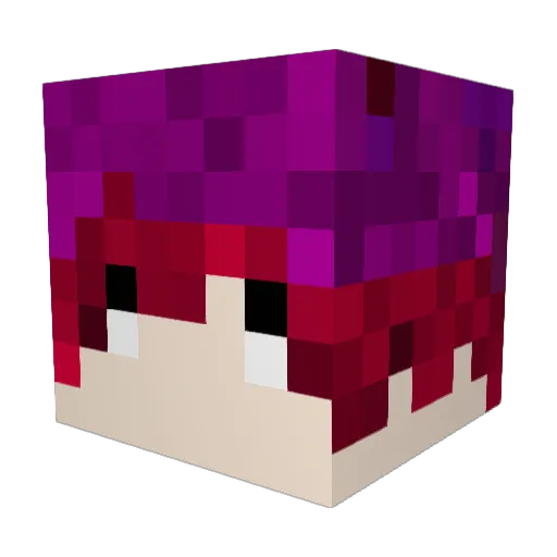 dandantwo Minecraft avatar head, 3D render