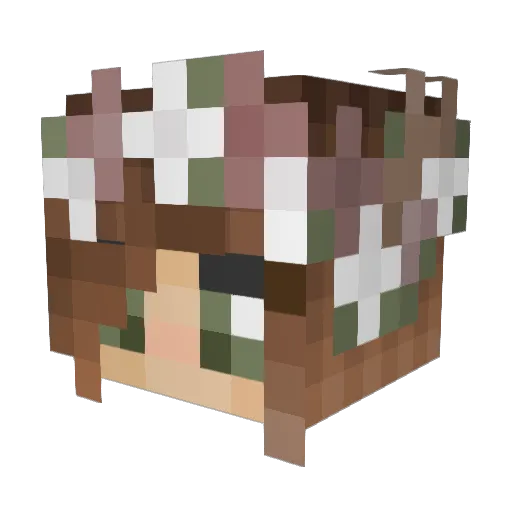 dandelioniris Minecraft avatar head, 3D render
