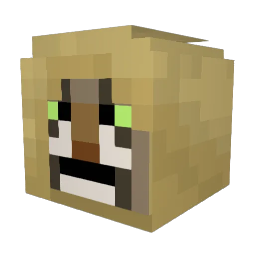 dandikmaster Minecraft avatar head, 3D render