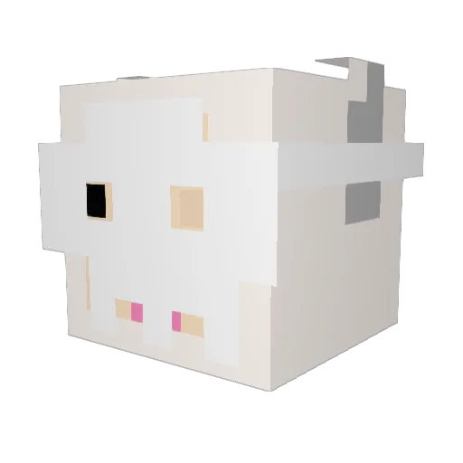 dandoesstuff Minecraft avatar head, 3D render