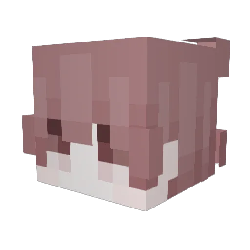 dandruf Minecraft avatar head, 3D render