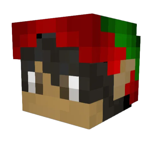 dandude200 Minecraft avatar head, 3D render
