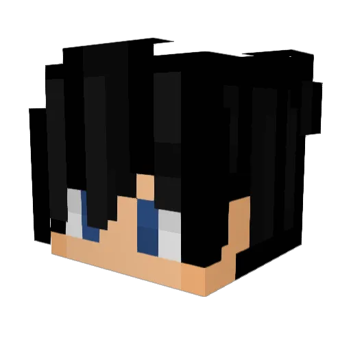 dandy2008 Minecraft avatar head, 3D render