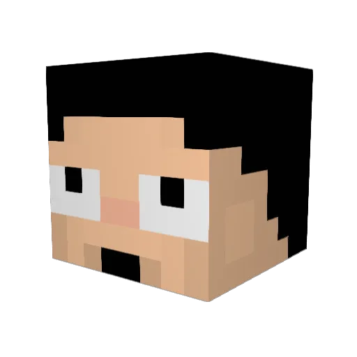 daneztree Minecraft avatar head, 3D render