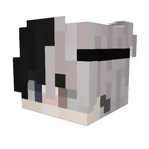 dangdang1yo Minecraft avatar head, 3D render