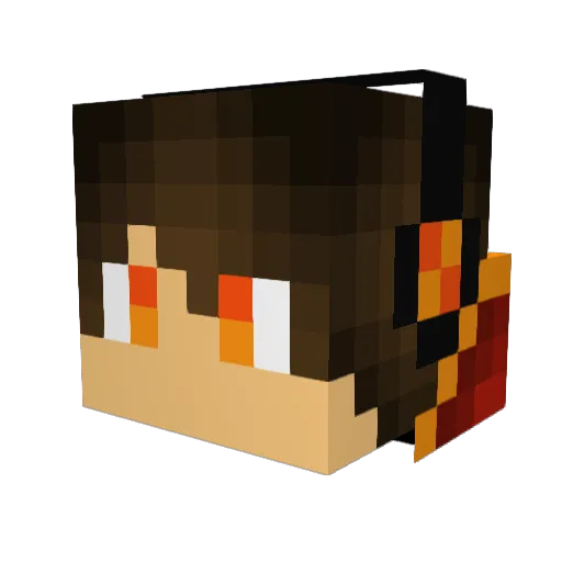 danger_joe100 Minecraft avatar head, 3D render