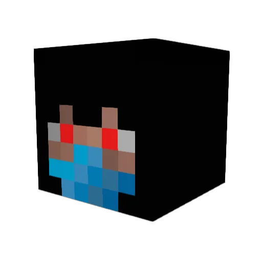 dangerpay Minecraft avatar head, 3D render