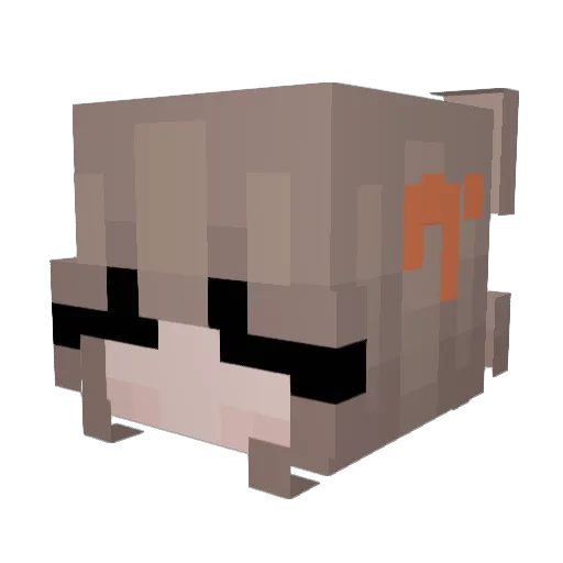 dangerxelly Minecraft avatar head, 3D render