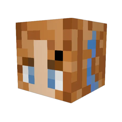 danggulgul12 Minecraft avatar head, 3D render