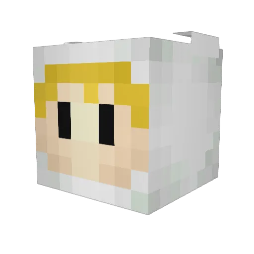 dangko Minecraft avatar head, 3D render
