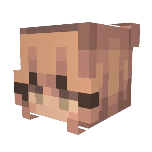 dani25032 Minecraft avatar head, 3D render