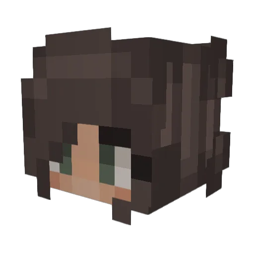 dani30 Minecraft avatar head, 3D render