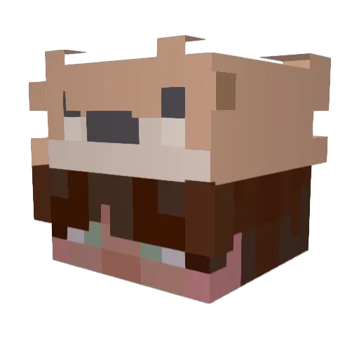 dani4oz Minecraft avatar head, 3D render