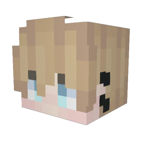 danidecker Minecraft avatar head, 3D render