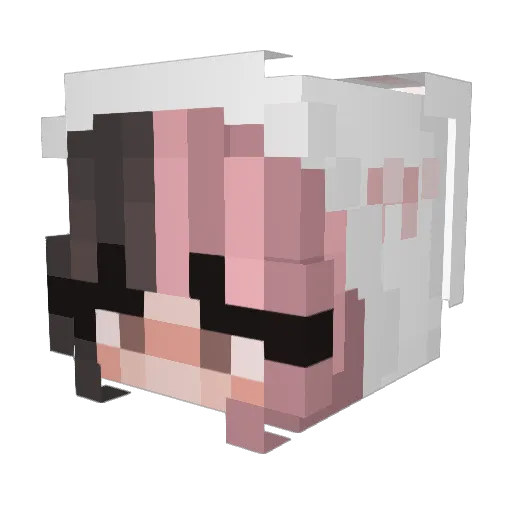 danie901 Minecraft avatar head, 3D render