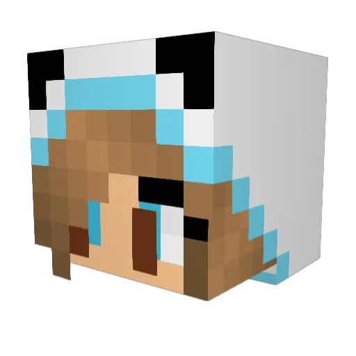 daniek321 Minecraft avatar head, 3D render