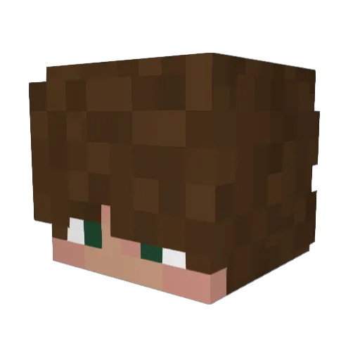 daniel5lix Minecraft avatar head, 3D render
