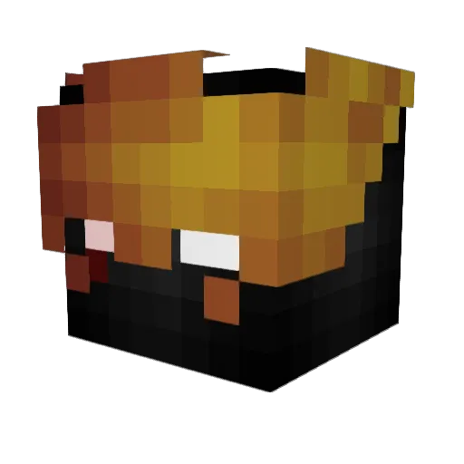 danielito9901 Minecraft avatar head, 3D render