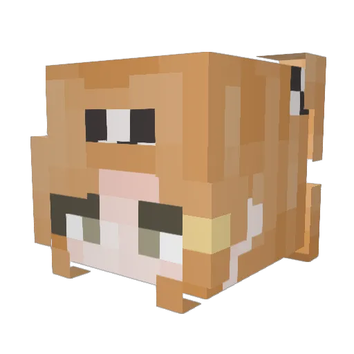 danieljjs Minecraft avatar head, 3D render