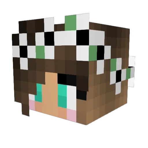 danielleiscool Minecraft avatar head, 3D render