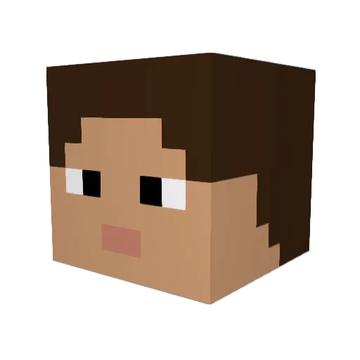 danielp1213 Minecraft avatar head, 3D render