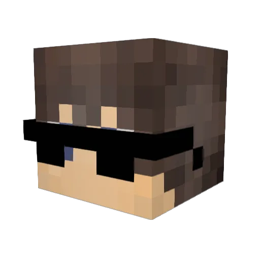 danielzin0911 Minecraft avatar head, 3D render