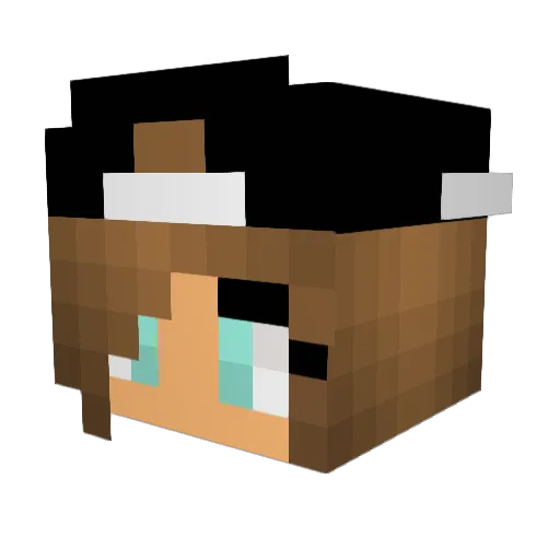 danifer03 Minecraft avatar head, 3D render