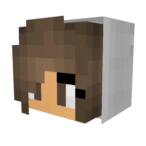 danigamer2005 Minecraft avatar head, 3D render