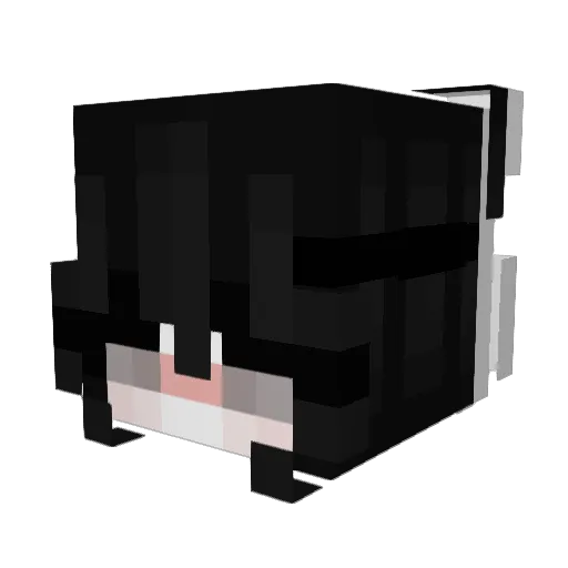 danii8989 Minecraft avatar head, 3D render
