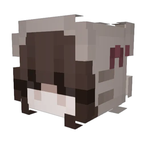 daniizzn Minecraft avatar head, 3D render