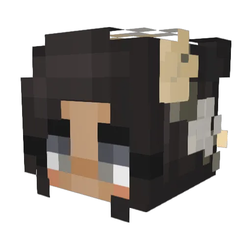 danij6 Minecraft avatar head, 3D render