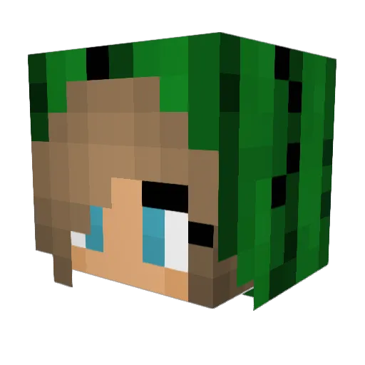 danika_mole Minecraft avatar head, 3D render