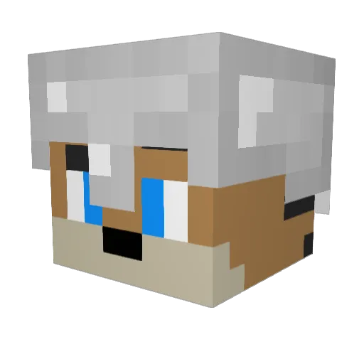daniloboy64 Minecraft avatar head, 3D render