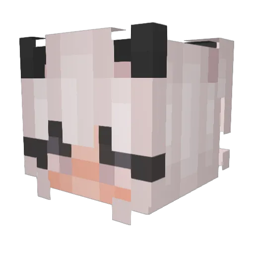 danini Minecraft avatar head, 3D render