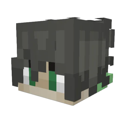 danipro31 Minecraft avatar head, 3D render