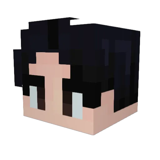 daniradari Minecraft avatar head, 3D render